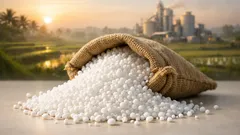 Profertil 25 tahun: pelajaran penting dari urea granul untuk masa depan pupuk