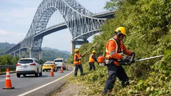 Pemangkasan vegetasi di akses Balboa bikin laju ke Puente de las Américas lebih aman